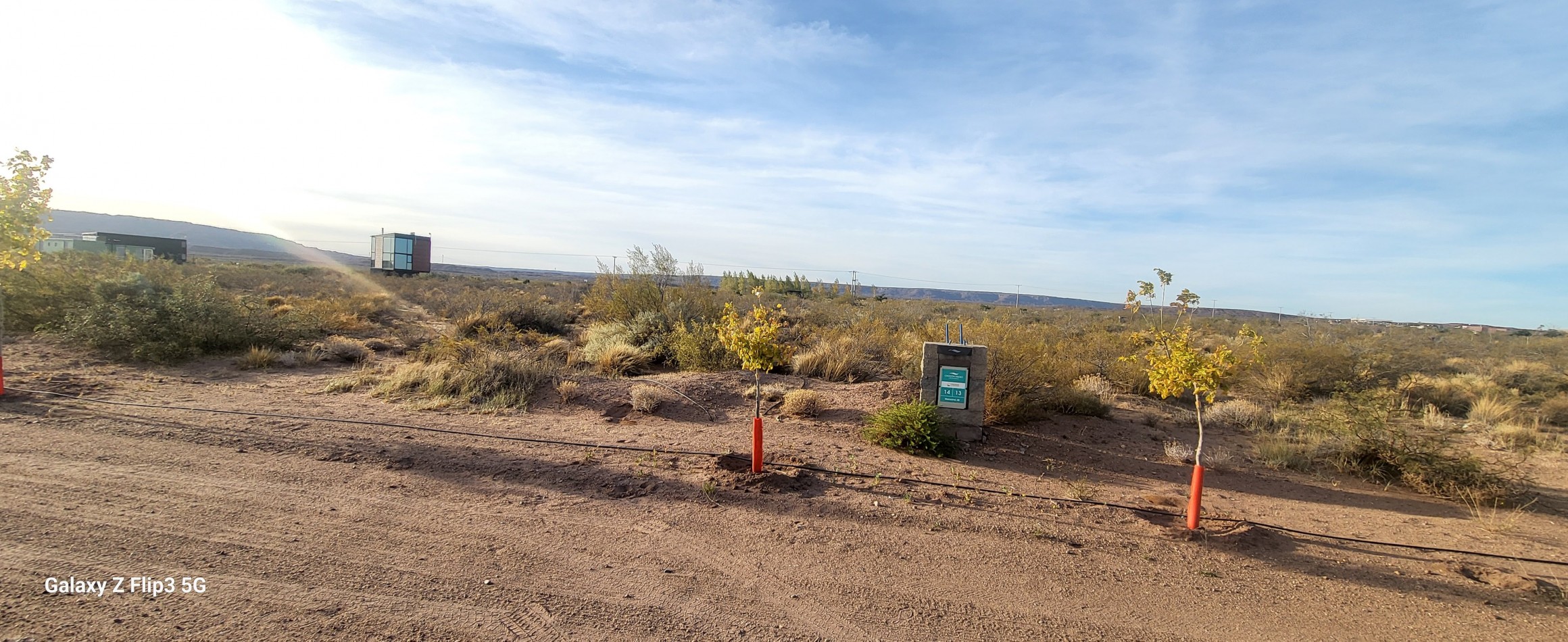 CHOCON MEDIO -TERRENO