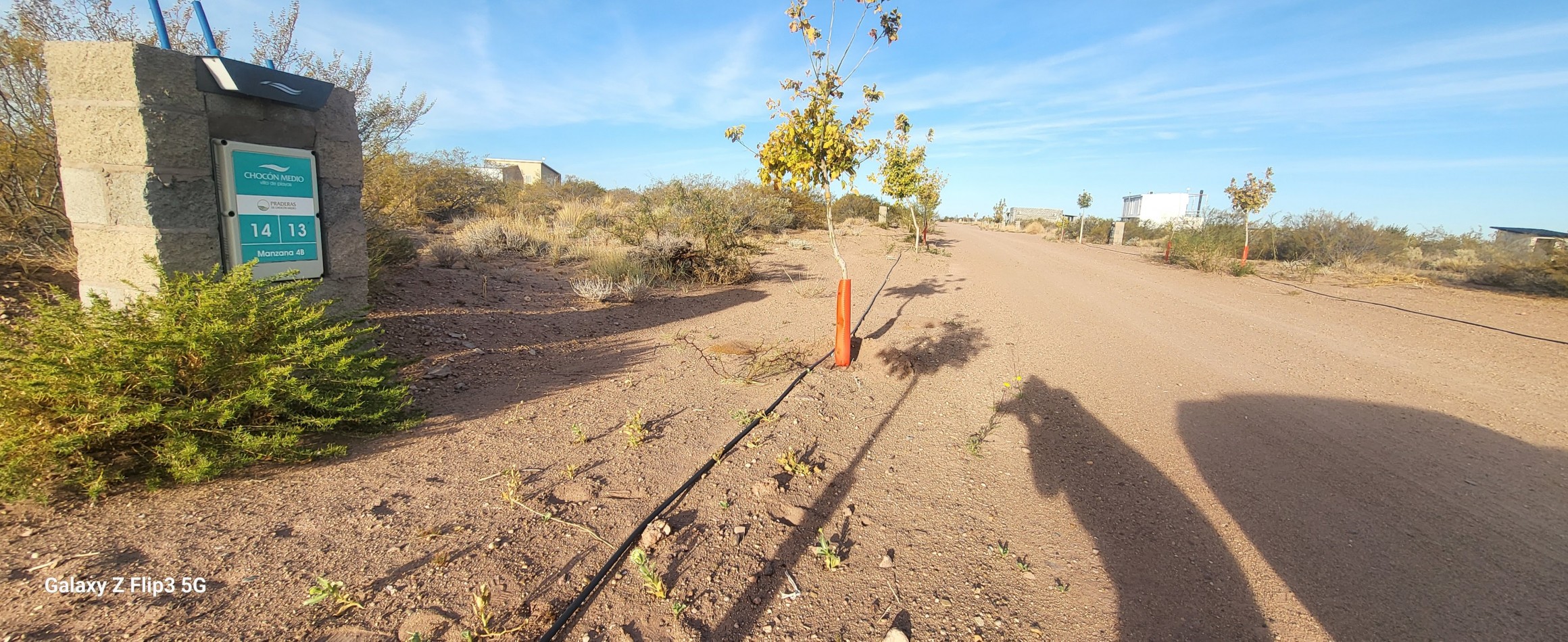 CHOCON MEDIO -TERRENO