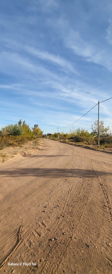 CHOCON MEDIO -TERRENO